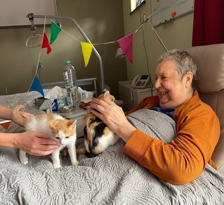 Lachende mevrouw in verpleegbed met katten
